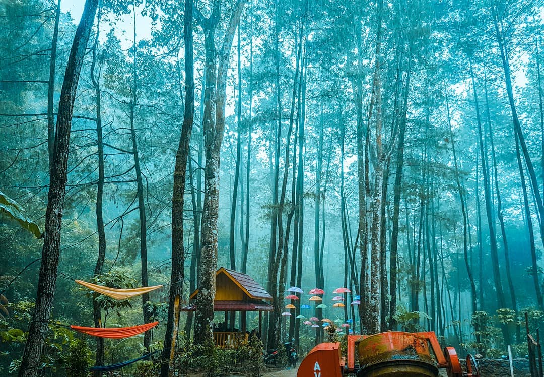 Background Travel